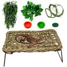 Set de Accesorios para Terrario QWR - Hamaca y Escalera para Dragón Barbudo