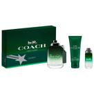 Set de Fragancia Coach Green de 3 Piezas - Spray EDT 100 ml