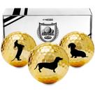 Set de Pelotas de Golf CybGene Dachshund Regalos para Golfistas
