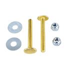Set de Pernos para Inodoro Plumb Pak PP835-16 de Latón 1/4-20x5.7 cm Set de Pernos para Inodoro Plumb Pak PP835-16 de Latón 1/4-20x5.7 cm