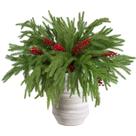 Set de ramas de pino Norfolk navideño de 18" - 12 unidades con bayas
