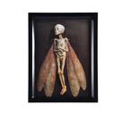 Shadow Box Display, estatueta de madeira, escultura Dead Fairy