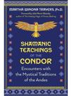 Shamanic teachings of the condor