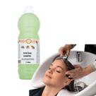 Shampoo 2 Litros Erva Doce Salão Cabelereira Profissional Refrescante