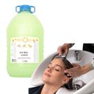 Shampoo 5 Litros Erva Doce Salão Cabelereira Profissional Refrescante