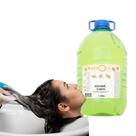 Shampoo 5 Litros Jaborandi Salão Cabelereira Profissional Limpa e Estimula