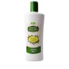 Shampoo Anticaspa 300ml Raspa de Juá ,Quina Quina e Jaborandi-Vitalab