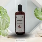 Shampoo Antifrizz