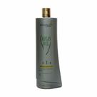 Shampoo Antioxidante Argan Oil 1l Gold Hair Advance
