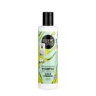 Shampoo Antiqueda Fortalecedor Vegano - Capim Limão e Algas Organic Shop (280 ml) Shampoo Antiqueda Fortalecedor Vegano - Capim Limão e Algas Organic Shop (280 ml)