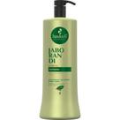 Shampoo Antiqueda Jaborandi Haskell 1L