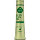 Shampoo Antiqueda Jaborandi Haskell 500ml