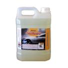 Shampoo Automotivo Líquido OGÊ Limpa Sujeira Maior Brilho 5L Shampoo Automotivo Líquido OGÊ Limpa Sujeira Maior Brilho 5L