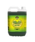 Shampoo Automotivo Snow Foam Concentrado Easytech Melon 5l