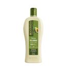 Shampoo Bio Extratus Pós Quimica 500ml