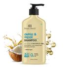 Shampoo Botanic Hearth Óleo de Coco 473 ml Defrizz Repair