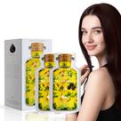 Shampoo Bubble Hair Dye Limer Multicolor Marrom Escuro x10 30mL
