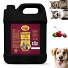 Shampoo Cachorro Pet Caes Condicionador 5lts Cereja Avela Shampoo Cachorro Pet Caes Condicionador 5lts Cereja Avela