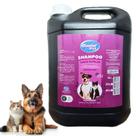 Shampoo Cachorro Pet Shop Caes Todos Pelos Neutro Paris 5lts Shampoo Cachorro Pet Shop Caes Todos Pelos Neutro Paris 5lts