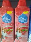 Shampoo canino