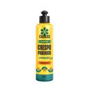 Shampoo Chikas Crespo Poderoso 300ml
