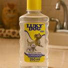 Shampoo Clareador Pet 250ml Luky Dog Para Pelos Claros Shampoo Clareador Pet 250ml Luky Dog Para Pelos Claros