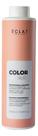 Shampoo Color Repair Professional Eclat Hair Care 1000ml