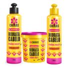 Shampoo Condic. e Máscara 450g Hidrata Cabelo Chikas