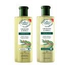 Shampoo + Condicionador Flores e Vegetais Jaborandi E Arnica Shampoo + Condicionador Flores e Vegetais Jaborandi E Arnica