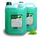 Shampoo + Condicionador Mentol Galão 5l Barbers Space Shampoo + Condicionador Mentol Galão 5l Barbers Space