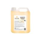 Shampoo de Pêssego para Lavatórios DYUSAR Cosméticos 5l
