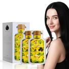 Shampoo de tintura de cabelo Limer multicolorido semipermanente 300 mL x 10