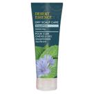 Shampoo Desert Essence para cuidados com o couro cabeludo seco 240 ml