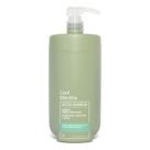 Shampoo Detox Cool Mentha Dicolore 1 Litro Shampoo Detox Cool Mentha Dicolore 1 Litro