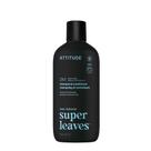 Shampoo e condicionador 2 em 1 ATTITUDE Men's Scalp Care