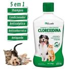 Shampoo e Condicionador Antisseborreico com Clorexidina 5 em 1 500ml Dermatológico