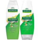 Shampoo e Condicionador Detox Palmolive Energizante
