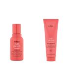 Shampoo e condicionador Duo Aveda Nutriplenish Deep Moisture