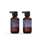 Shampoo e condicionador iluminador Travel Set Theorie Purple Sage 90 ml