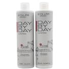 Shampoo E Condicionador Kit Hidratação E Reparação Day By Day
