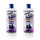 Shampoo e Condicionador Mane 'n Tail 473 ml Gloss Combo