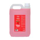 Shampoo e Condicionador Pet Clean Morango para Cães e Gatos 5L