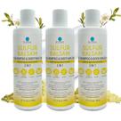 Shampoo e Sabonete Corporal Dr. Robaina Enriquecido com Enxofre 240g 2 em 1 Shampoo e Sabonete Corporal Dr. Robaina Enriquecido com Enxofre 240g 2 em 1