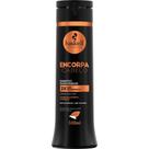 Shampoo Engrossador Encorpa Cabelo Haskell 300ml Shampoo Engrossador Encorpa Cabelo Haskell 300ml