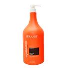 Shampoo Equilibrium Salles Profissional 2,5lts Shampoo Equilibrium Salles Profissional 2,5lts