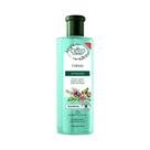Shampoo Flores e Vegetais 7 Ervas Antiqueda 310ml Shampoo Flores e Vegetais 7 Ervas Antiqueda 310ml