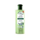 Shampoo Flores E Vegetais Alecrim E Erva Doce 300Ml Shampoo Flores E Vegetais Alecrim E Erva Doce 300Ml