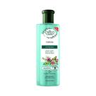 Shampoo Flores & Vegetais Antiqueda Sete Erva 310ml