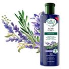 Shampoo Flores & Vegetais Blond Violeta Matizante 310Ml
