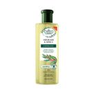 Shampoo Flores & Vegetais Jaborandi e Arnica 310ml Shampoo Flores & Vegetais Jaborandi e Arnica 310ml